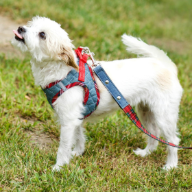 Step-In Denim Dog Harness - Red Plaid (Size: large)